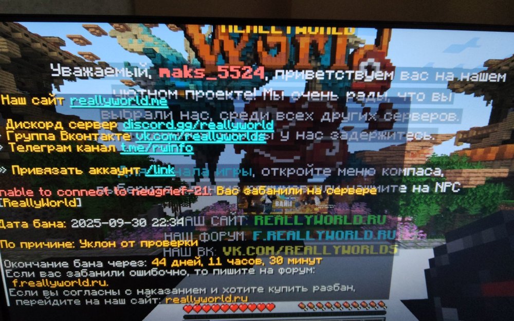 17597380667103348428527945147164.jpg