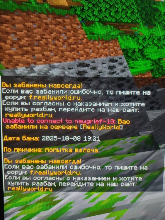 17599413103494358496026208057555.jpg