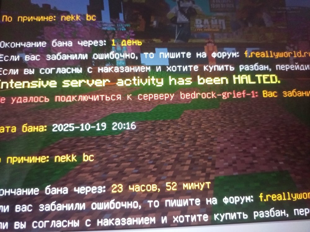 17608955965114161900006249634006.jpg