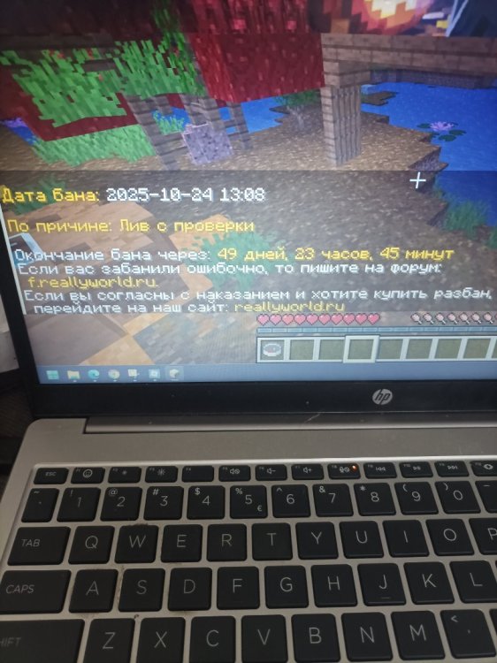 17613013600588016849305122469919.jpg