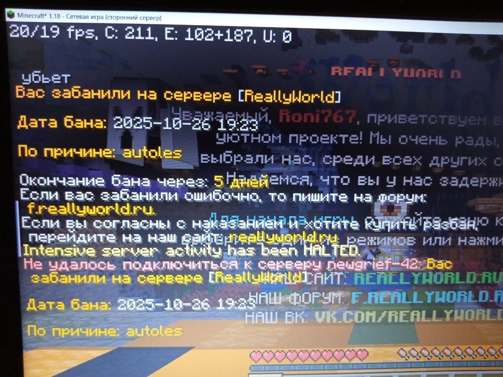 17614998335677001304814938540106.jpg