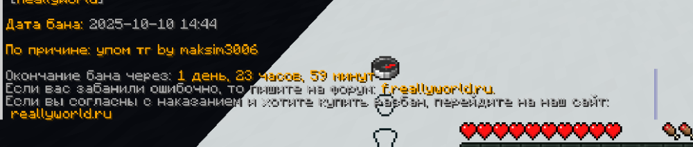 Снимок экрана 2025-10-10 164255.png