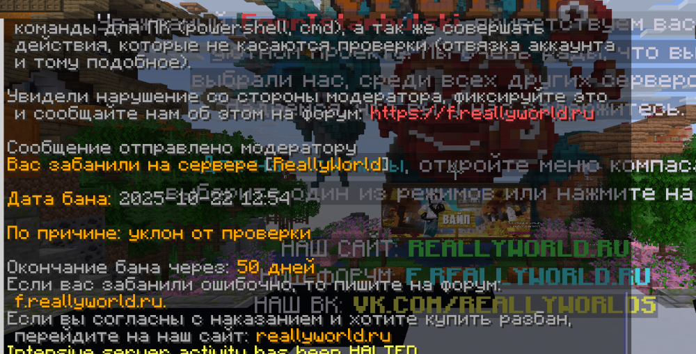 Снимок экрана 2025-10-22 135422.png