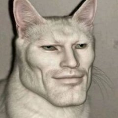 crezyboysYT
