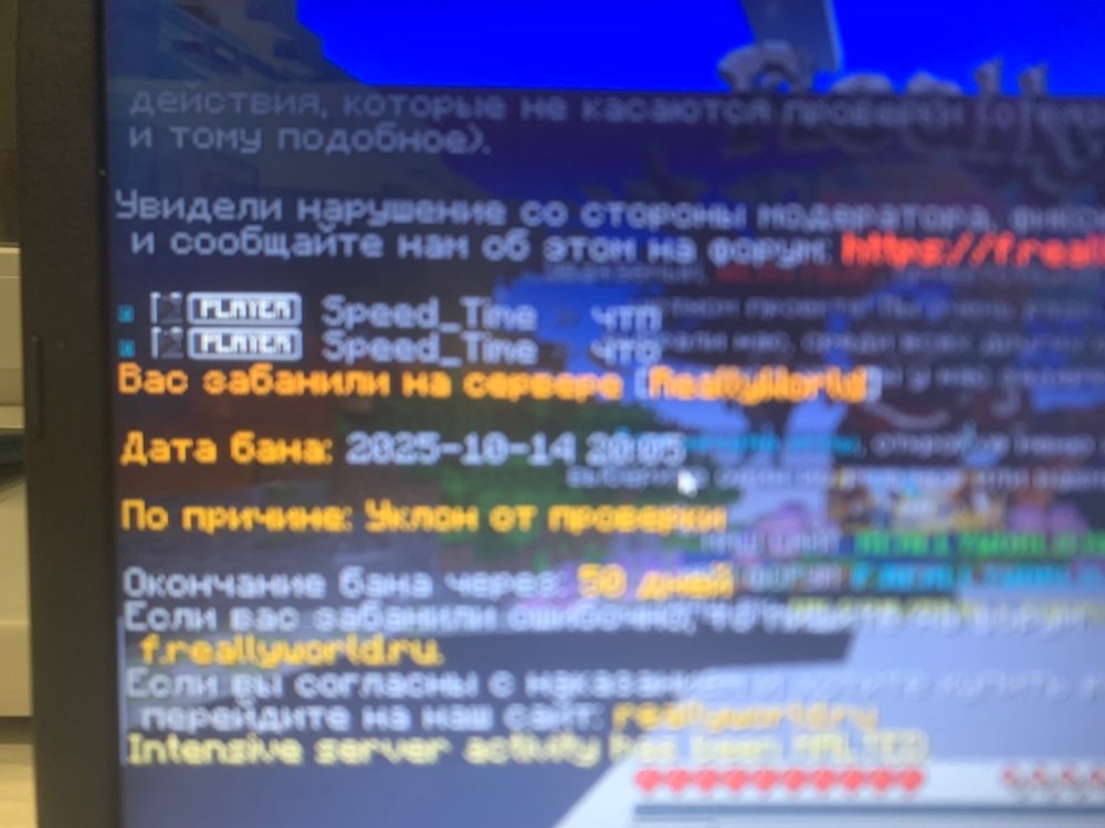 IMG_3334.jpeg