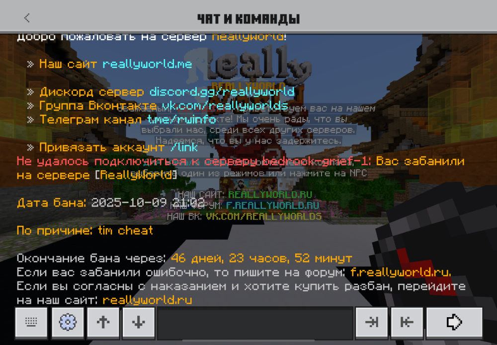 IMG_3490.png