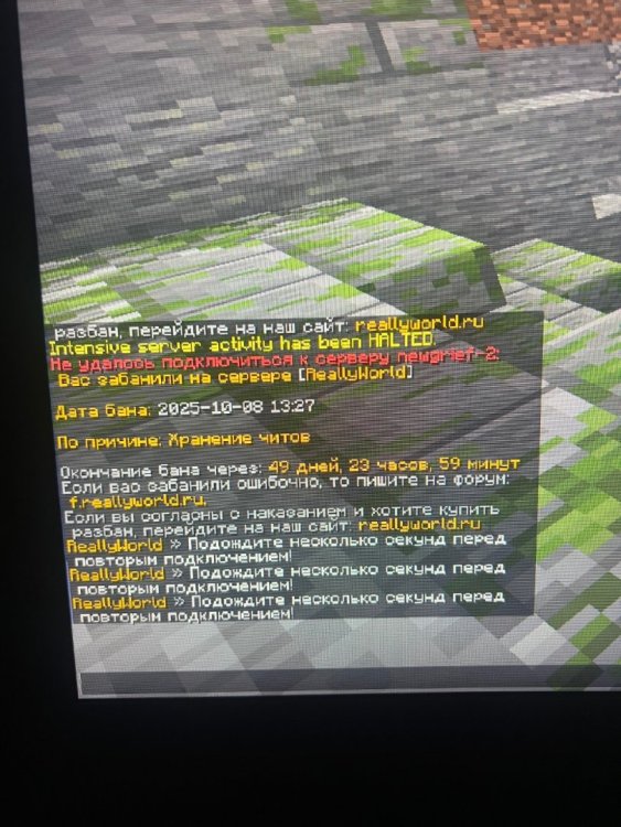 IMG_8093.thumb.jpeg.7215065bed53cd7e34ac92b17b207a97.jpeg