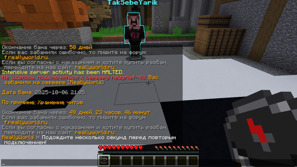 Minecraft_1_17.1-()06_10.202521_29_17.thumb.png.f4be66472bd918212f3926a4de12498e.png