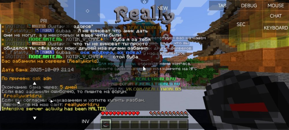 Screenshot_2025-10-09-21-15-16-029_net.kdt.pojavlaunch.jpg