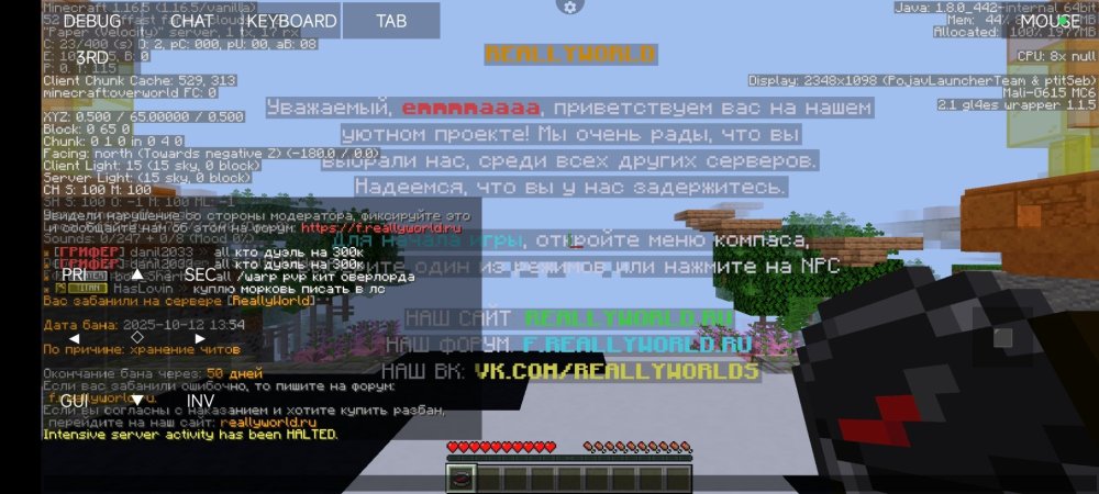 Screenshot_2025-10-12-15-55-28-919_net.kdt.pojavlaunch.jpg