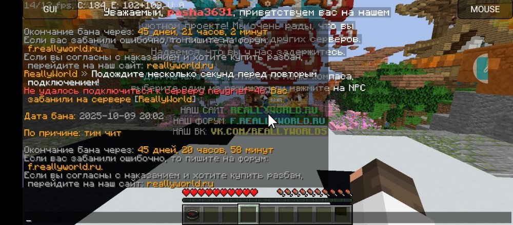 Screenshot_20251010-230558.jpg