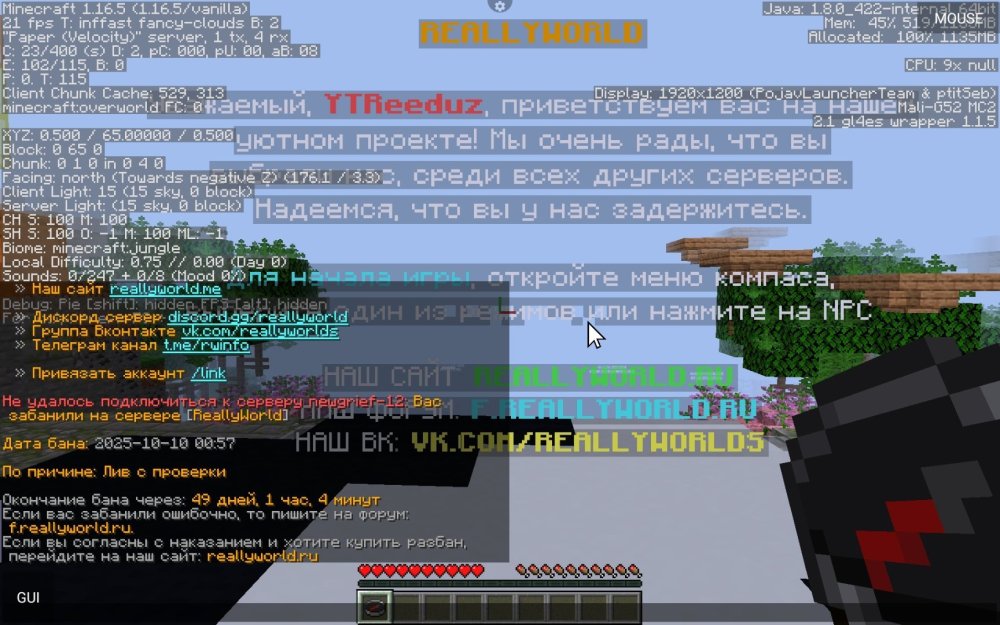 Screenshot_20251010_235402.jpg