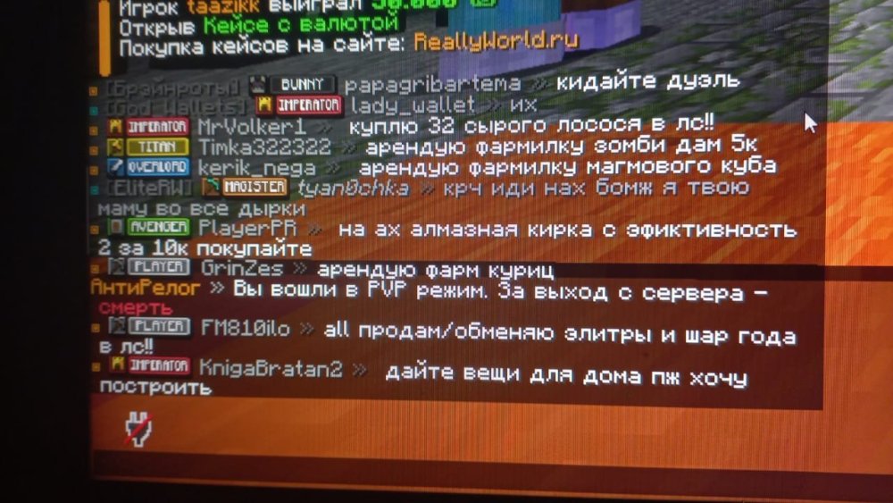 Изображение WhatsApp 2025-10-29 в 15.43.15_4946894e.jpg