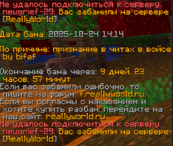 image.png.961d88b2bbd26a92cc3678daba801ac7.png