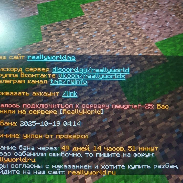 image.jpeg