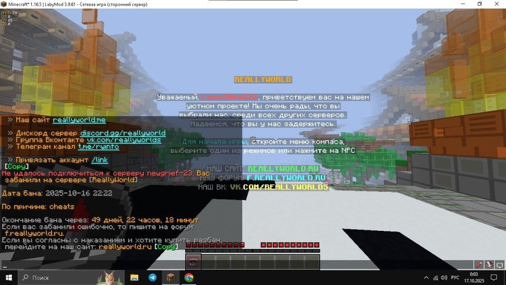 image.thumb.jpeg.559fb3d68db14e18458434f9504e806b.jpeg