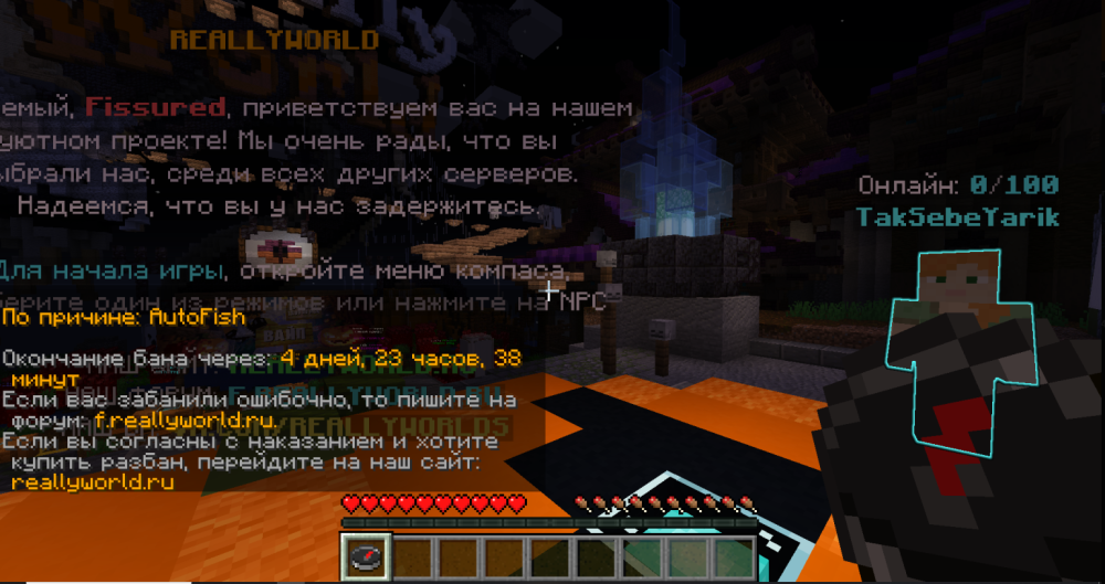image.thumb.png.0e75bf42038459bb223bcd27a3cf8b03.png