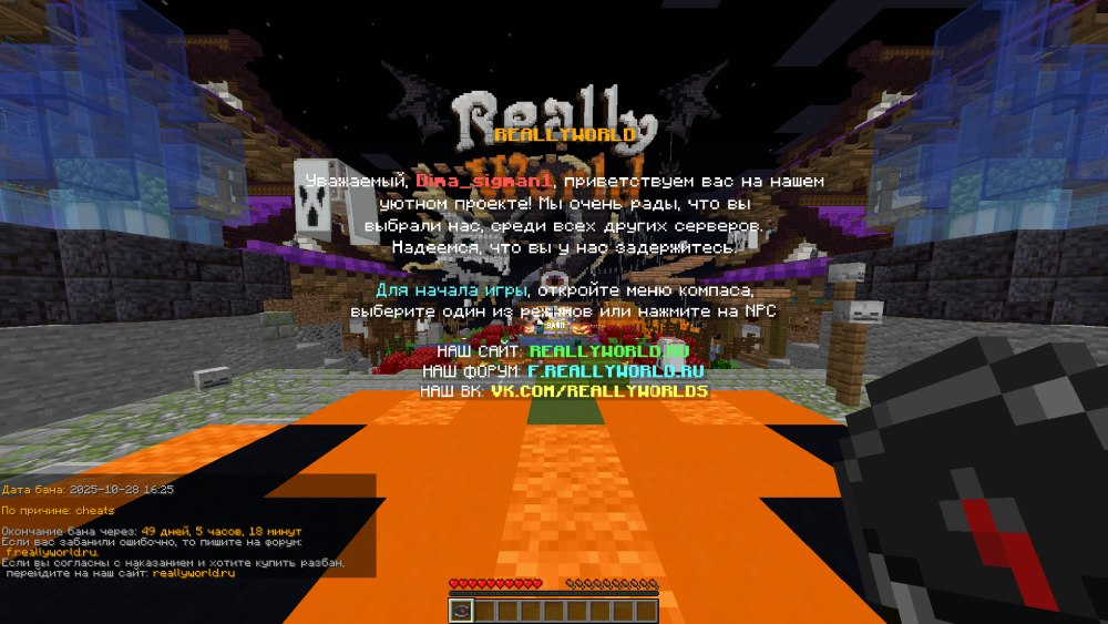 image.thumb.png.137bdc9d0045107ddb4e93fa9ffb5bdb.png