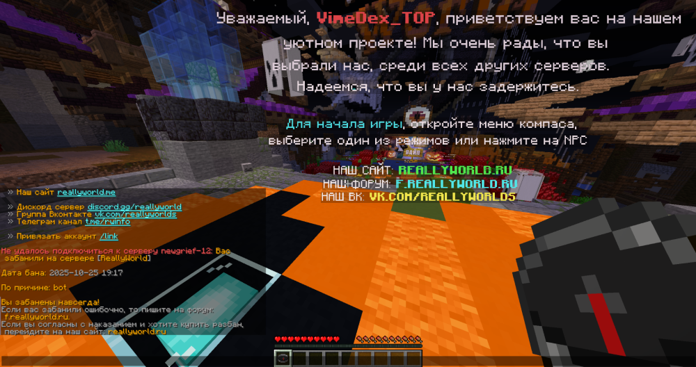 image.thumb.png.237707557c6dbb186b2f0db48cceaa58.png