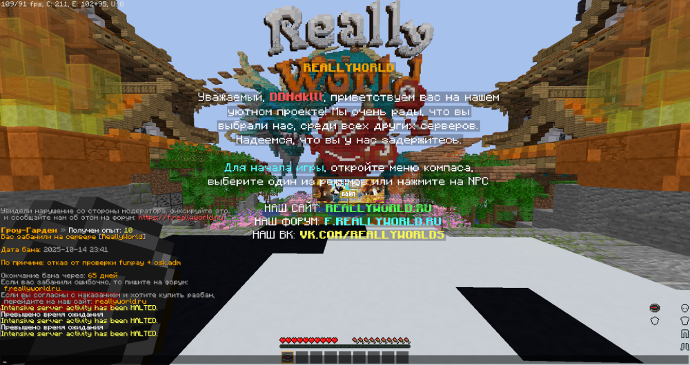 image.thumb.png.35865c45c419a829786b0cb452887cd7.png