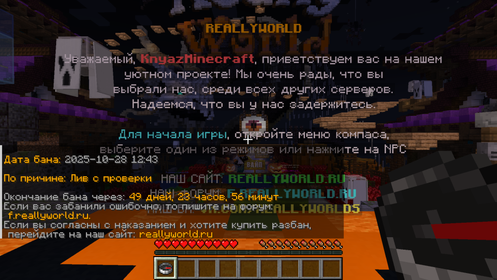image.thumb.png.3b99ac6d97cacd97f8d07edd9884ba02.png