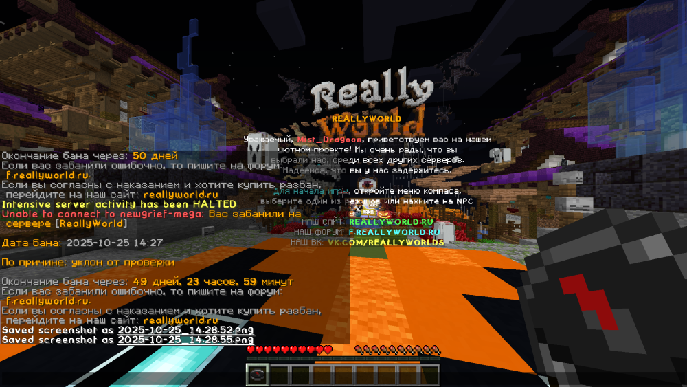 image.thumb.png.491741858dcfc7c53052dd3bedf46132.png