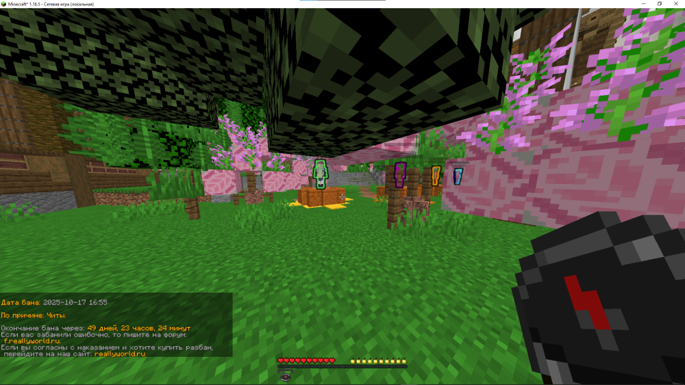 image.thumb.png.50c8dd68c7571d02bfb6c061e5dde17b.png