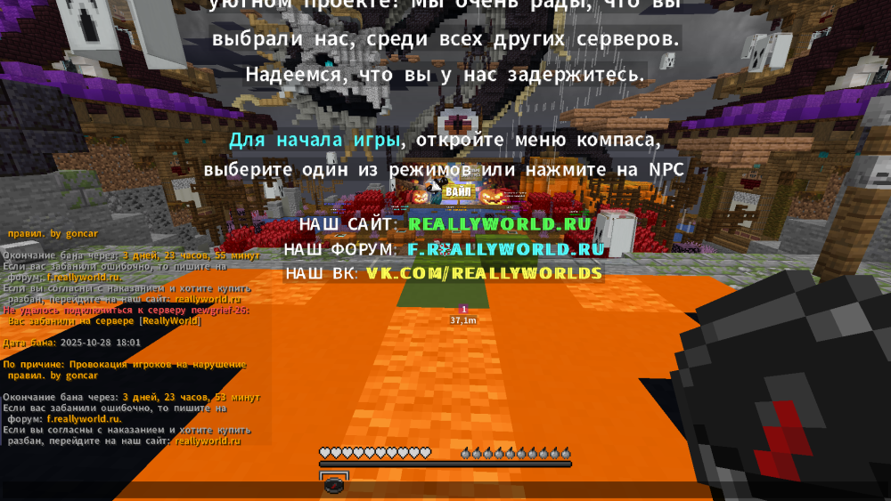 image.thumb.png.54c69b3dbe297354df19e6f3a729d535.png