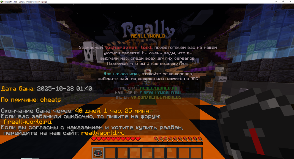 image.thumb.png.80a43b1e2fb5923360f9e6b88cce6c10.png