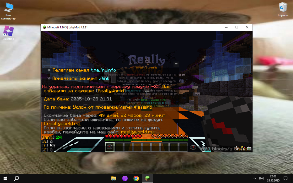 image.thumb.png.83f13cd6d868e4b76734673cbbbb282b.png