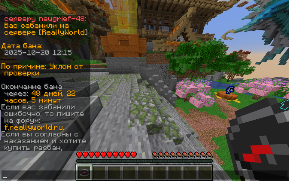 image.thumb.png.8ccd84ee140a28a9ecb53dc0d16183aa.png