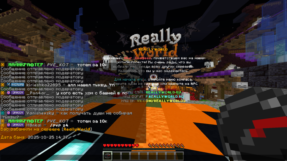 image.thumb.png.9b6f2051f53d9fb9e7e7e8231de217d9.png