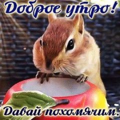 Timoshka_Kortosh