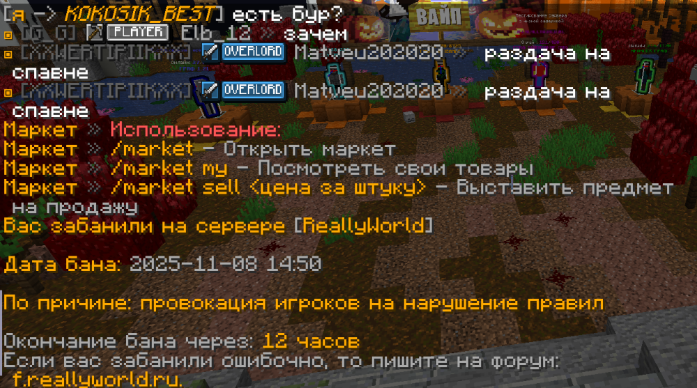 Снимок экрана 2025-11-08 151019.png