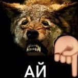 Kvacer