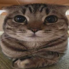 lerqwzx