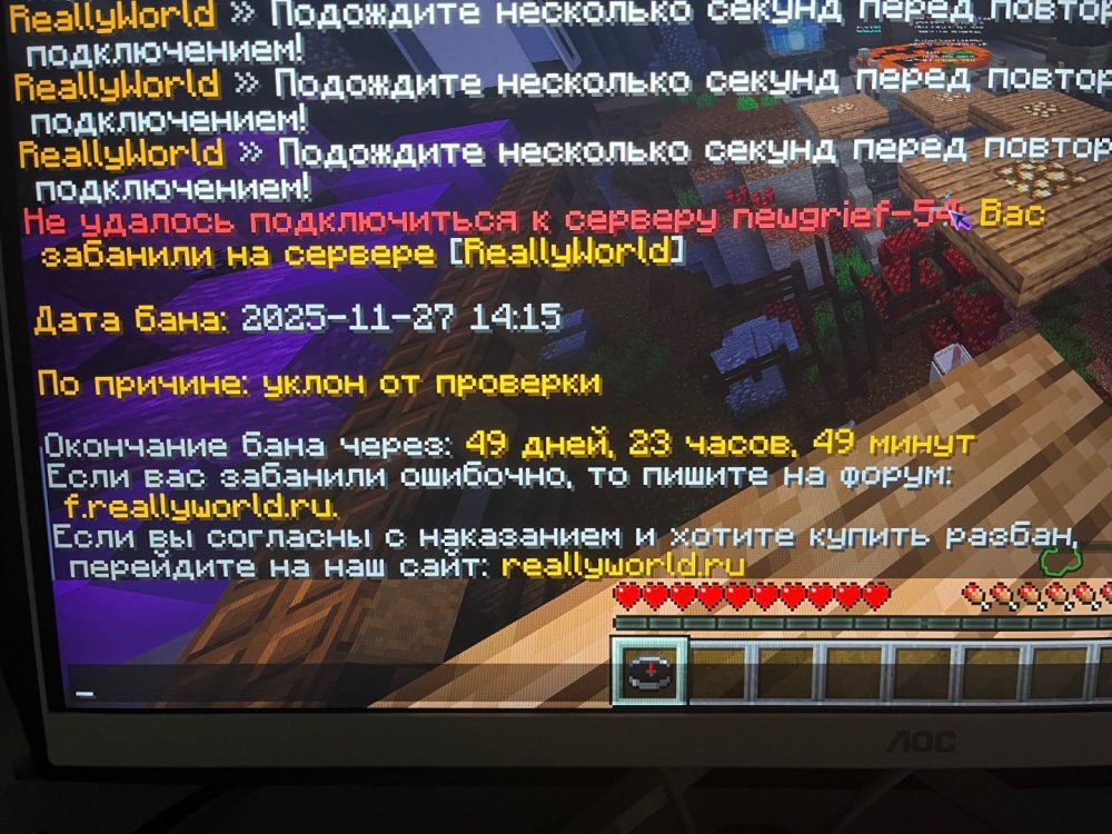 IMG_3853.jpeg