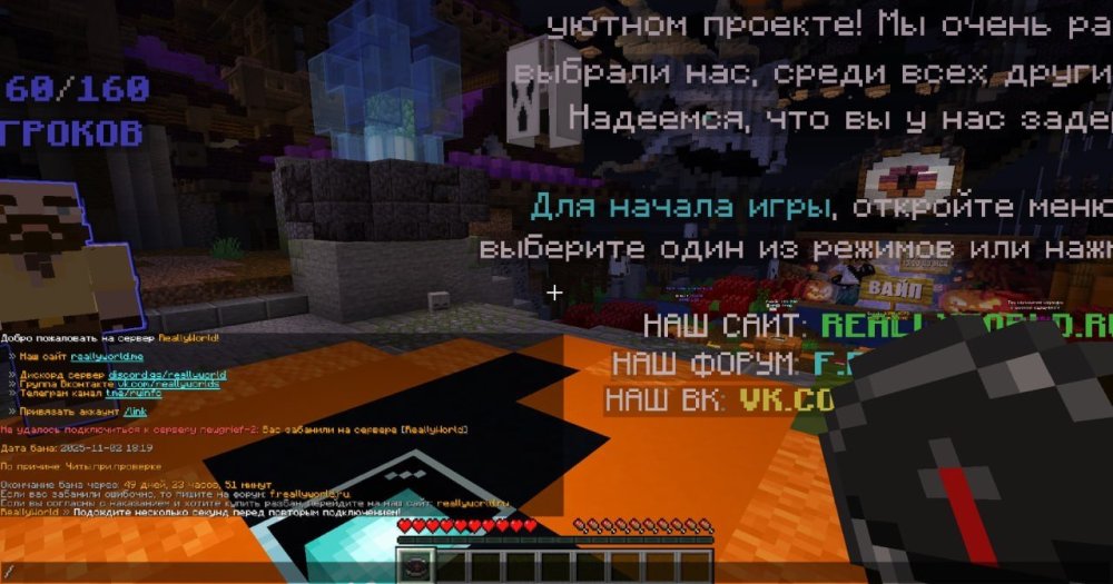 IMG_9942.jpeg