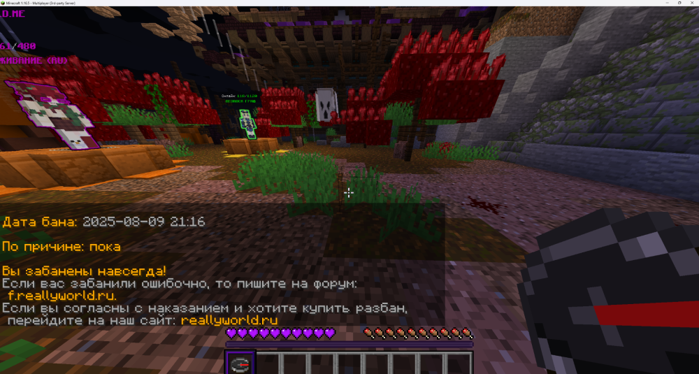Minecraft 1.16.5 - Multiplayer (3rd-party Server) 28.11.2025 15_31_39.png