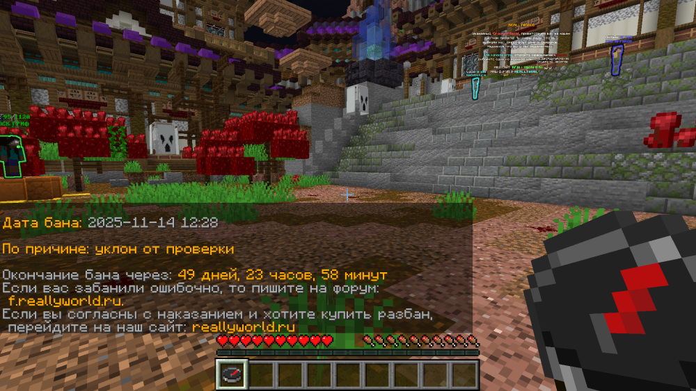Screenshot 2025-11-14 12-30-58.png