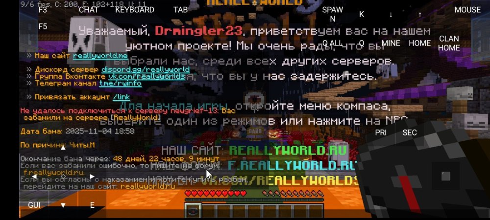 Screenshot_2025-11-05-22-48-07-556_git.artdeell.mojo.jpg
