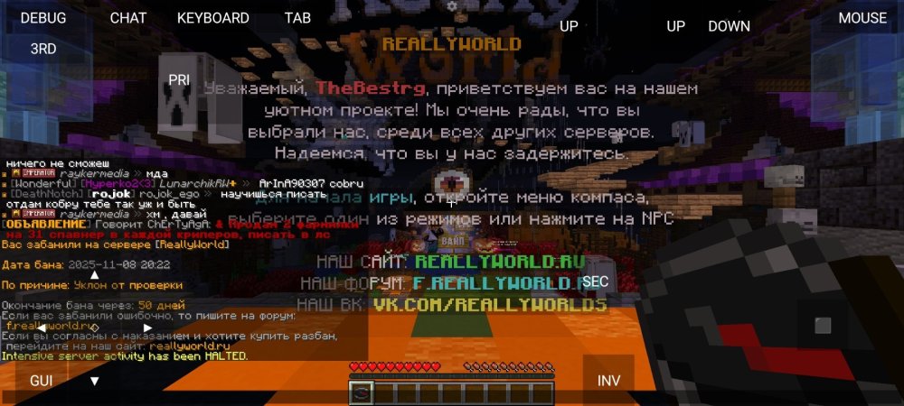 Screenshot_2025-11-08-18-23-04-217_net_kdt.pojavlaunch.debug.thumb.jpg.06647f64e52acff07cb0b4cb4e6914b0.jpg