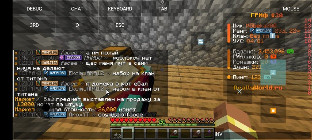 Screenshot_2025-11-12-00-18-45-621_net.kdt.pojavlaunch.debug.jpg
