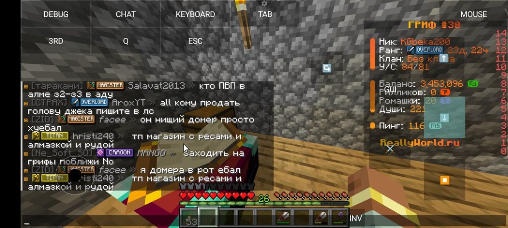 Screenshot_2025-11-12-00-19-04-430_net_kdt.pojavlaunch.debug.thumb.jpg.b3f34a76be2b7fa3e0a2d536fd2da6b8.jpg