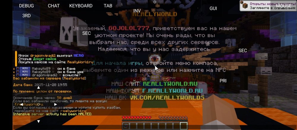 Screenshot_2025-11-28-20-55-17-277_net.kdt.pojavlaunch.debug.jpg
