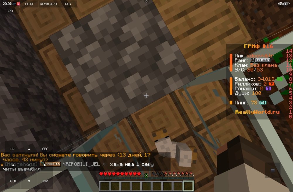 Screenshot_20251116_200229_git.artdeell.mojo.jpg
