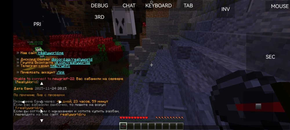 Screenshot_20251124_221557_net.kdt.pojavlaunch.jpg