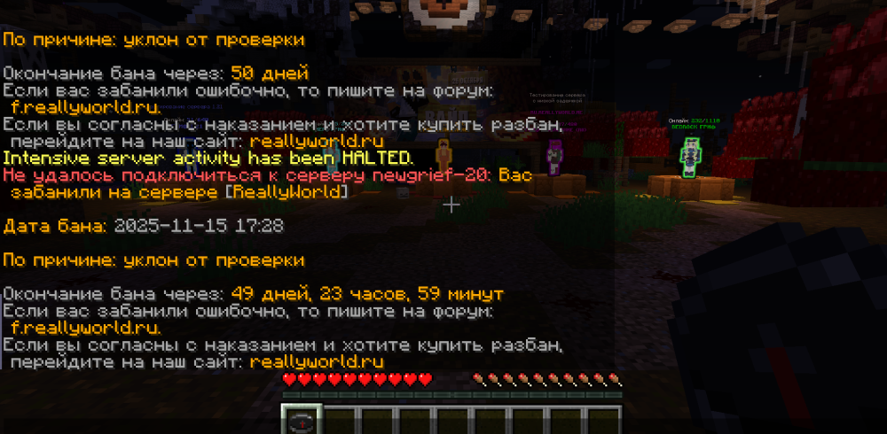 изображение_2025-11-15_173307322.png