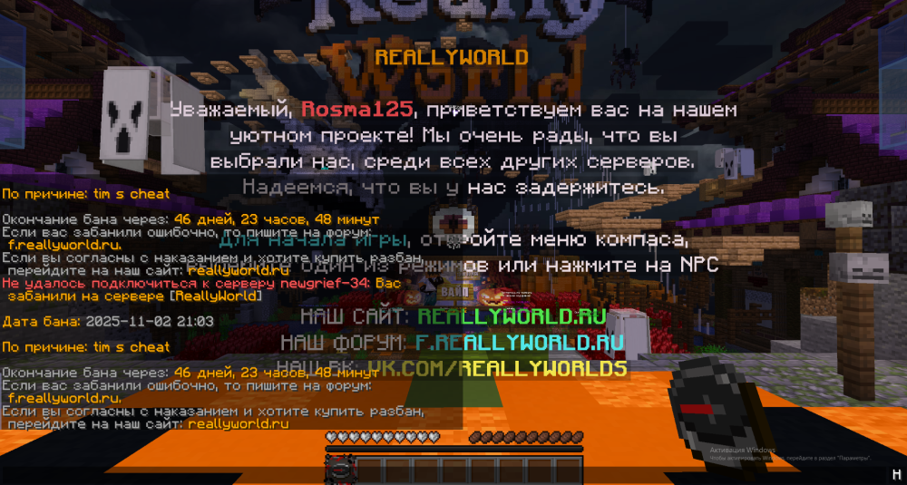 image.thumb.png.3915b7e296b10a9db3a6576d15e69f23.png