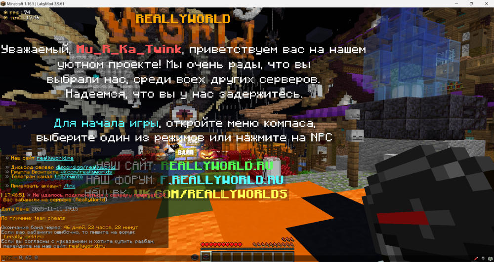 image.thumb.png.63808625c4aad79ab76d9d3492550cba.png